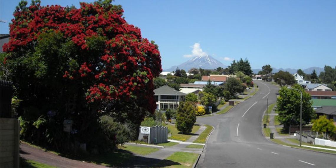 New Plymouth area
