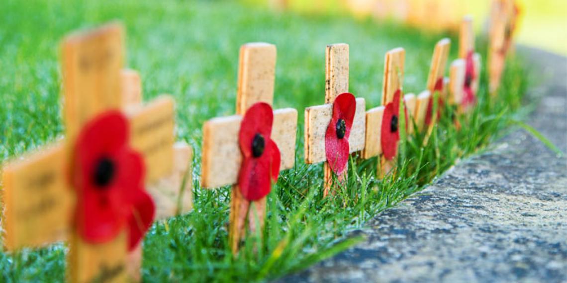  a row of poppies with crosses on
