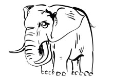 Elephant